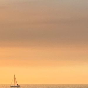 Meet your Posher, Elliot